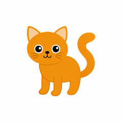 cute cat  white background