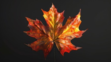Fototapeta premium A leaf is floating in the air with a beautiful orange hue