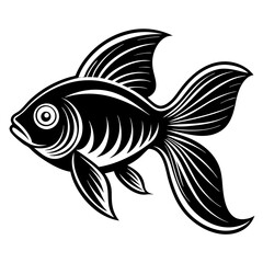 fish on white background