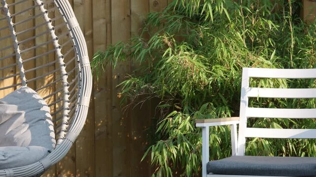 Summer garden scene