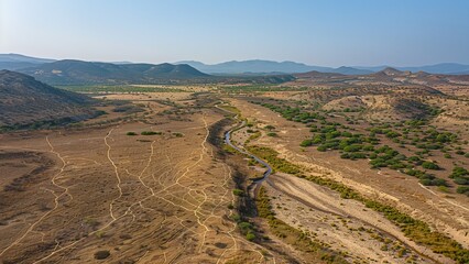 Aerial View of a Dried-Up Riverbed Etched into an Arid Landscape with Patches of Resilient Vegetation