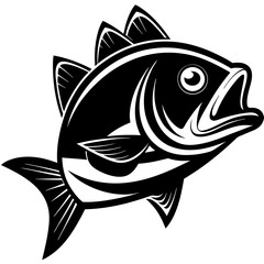 fish illustration