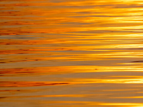 Golden reflections in the waters of the Amazon at sunset east of Anam&atilde;