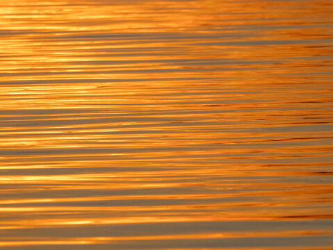 Golden reflections in the waters of the Amazon at sunset east of Anam&atilde;