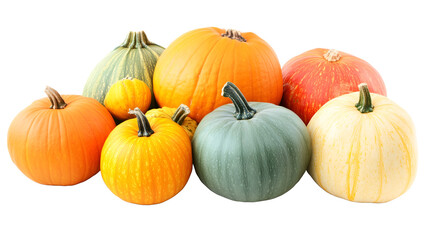 Obraz premium group of pumpkins in various shape, color and size. Halloween Concept.