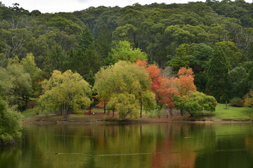 Fototapeta premium mount loft botannical gardens autumn
