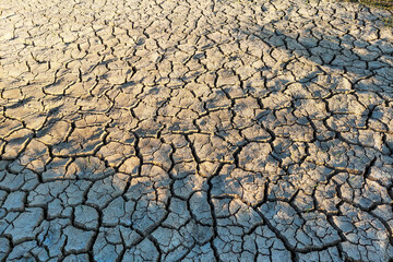 Dry Cracked Soil Texture in the Dry Season in a rice field