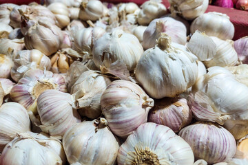 Pile of Garlic for sale at market