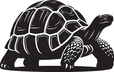 Sea turtle silhouette illustration isolated on a white background