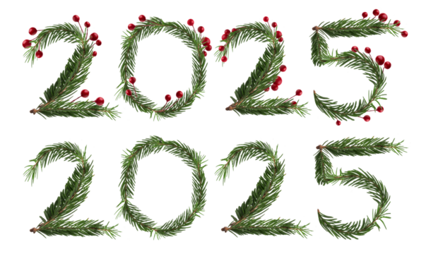 Fir branch isolated png transparent. the text 2025 was written from the branches christmas tree. Christmas green spruce branch. green fir tree branch. Object for christmas card, packaging, banner