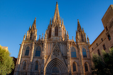Fototapeta premium cathedral in barcelona