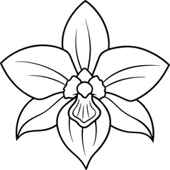 A coloring book filled with beautiful hand drawn floral illustrations for children
