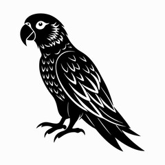 Fototapeta premium parrot silhouette vector art illustration 