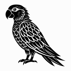 Fototapeta premium parrot silhouette vector art illustration 