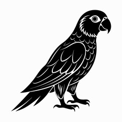 Fototapeta premium parrot silhouette vector art illustration 