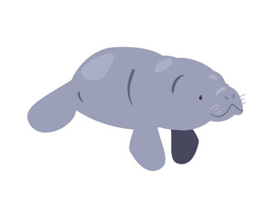 cute cartoon sea cow