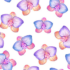 Botanical nature wallpaper orchid flower  seamless pattern white background.
