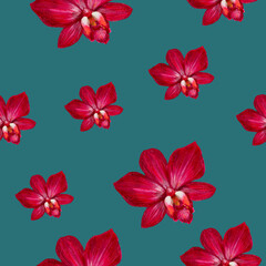 Seamless pattern red orchids minimalist abstract floral green background