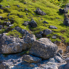 Mountain landscape with green grass and rocks in a sunny day