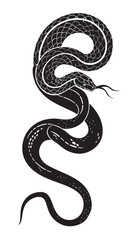 Fototapeta premium Vector snake silhouette isolated on a white background