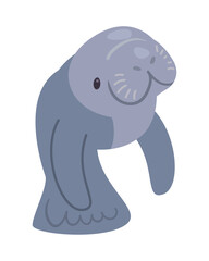 cute seacow aquatic animal