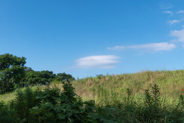 夏の青空　土堤の風景
