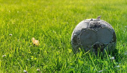 close up, very old soccer ball on nice mown grass, sunny weather