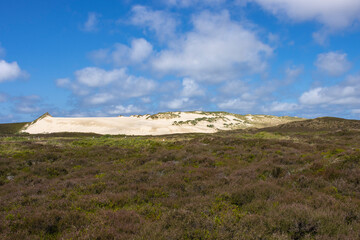 Wanderdüne auf Sylt