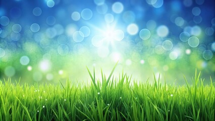 Obraz premium Lush green grass and clear blue sky with bokeh lights, perfect for World Environment Day and nature backgrounds