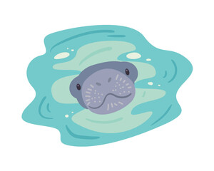 sea cow swimming under the water