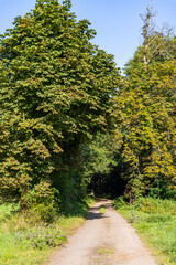 Das Selketal zwischen Meisdorf und Mägdesprung Naturlandschaft Selketalstieg