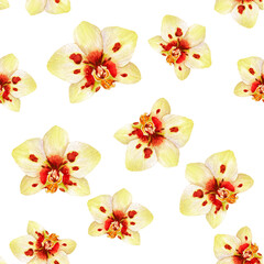 Tropical vintage orchid flower  seamless pattern white background.