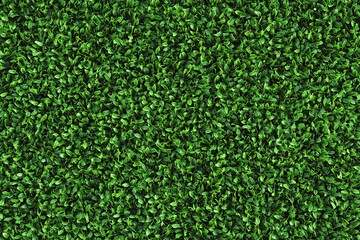 Fototapeta premium Artificial Green grass texture seamless background