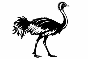 Naklejka premium ostrich silhouette vector illustration