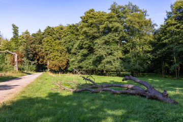 Das Selketal zwischen Meisdorf und Mägdesprung Naturlandschaft Selketalstieg