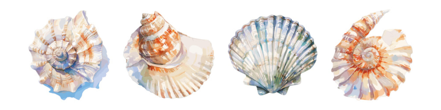 Set of colorful sea shells. Vector flat illustration Colorful sea shell watercolor paint. Collection of sea shells tropical beach shells
