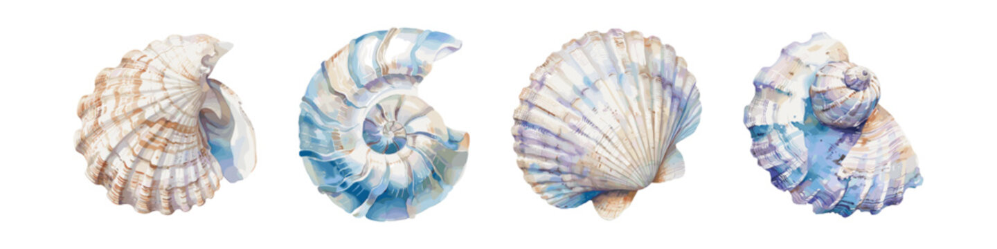 Set of colorful sea shells. Vector flat illustration Colorful sea shell watercolor paint. Collection of sea shells tropical beach shells