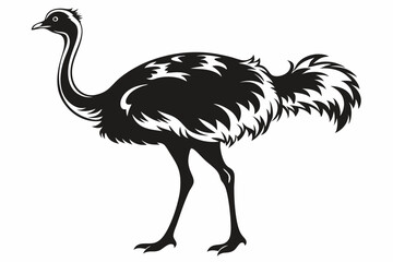 Obraz premium ostrich silhouette vector illustration