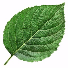 Obraz premium A serene lake reflects a vibrant sunset, casting long shadows across the water