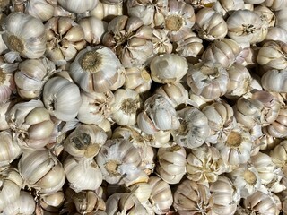 garlic on market