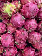 Obraz premium Dragon fruits