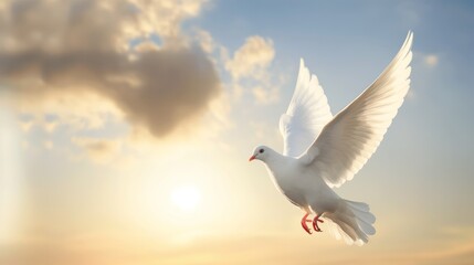 White Dove Soaring Through the Sunset Sky