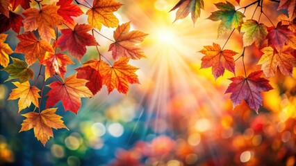 Obraz premium Vibrant autumn leaves with bright highlights shining through, creating a beautiful contrast in the fall foliage
