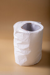 toilet paper roll