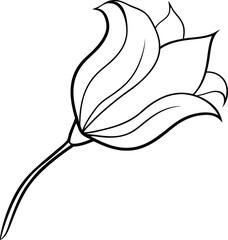 Let your child's imagination bloom with this floral coloring book
