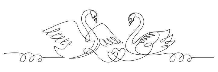 swan and symbol of love 