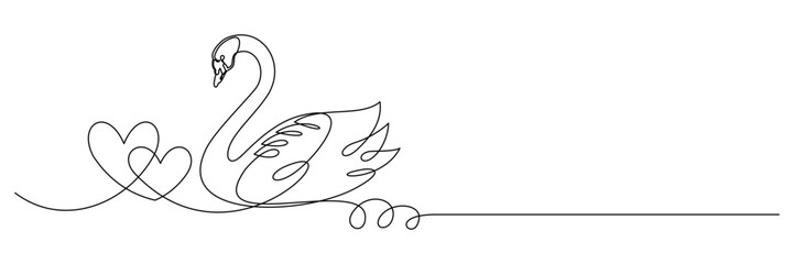 swan and symbol of love 