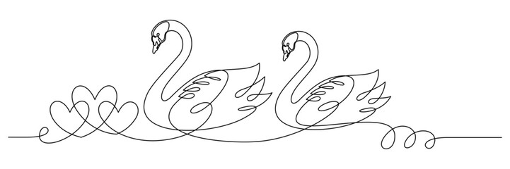 swan and symbol of love