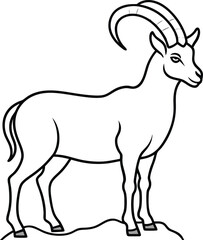 Ibex outline illustration art, smooth line art like silhouette on white background.