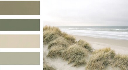 Sustainable Coastal Landscape with Eco-Friendly Color Palette